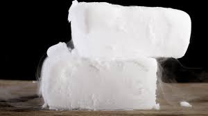 Can Bacteria Grow on Dry Ice? Here’s Why It’s Great for Mold Remediation.