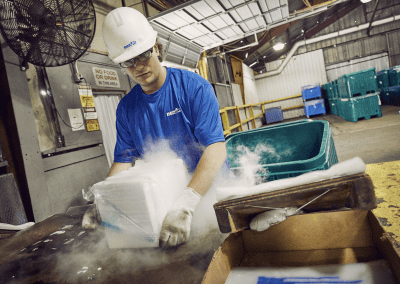 Dry ice vs. regular ice: Which is better for your cooler?